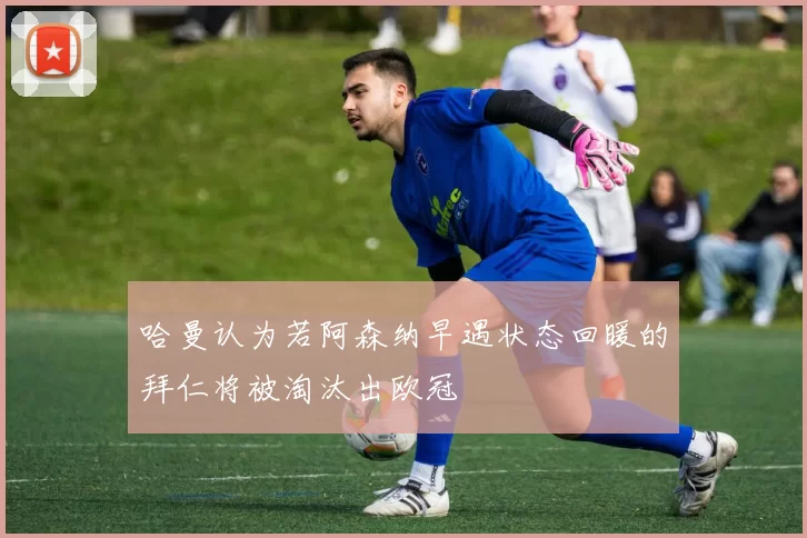 哈曼认为若阿森纳早遇状态回暖的拜仁将被淘汰出欧冠